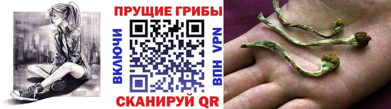 Псилоцибиновые грибы Magic Shrooms  МЕГА рабочий сайт  Моздок 